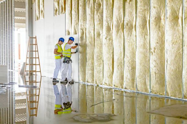 Best Geographic-Specific Insulation Services in Boonton, NJ
